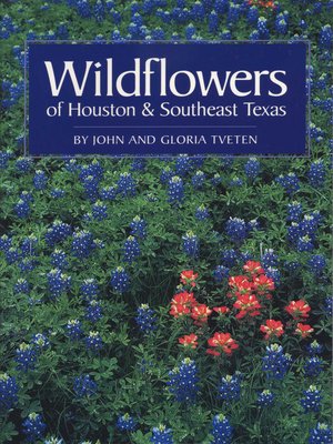 Wildflowers of Houston and Southeast Texas - ebook